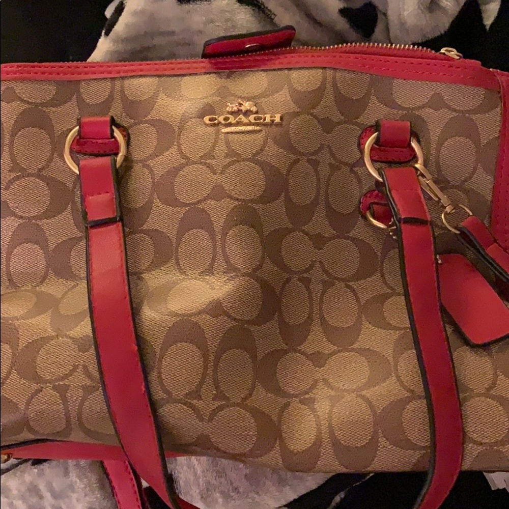 Cute Purse